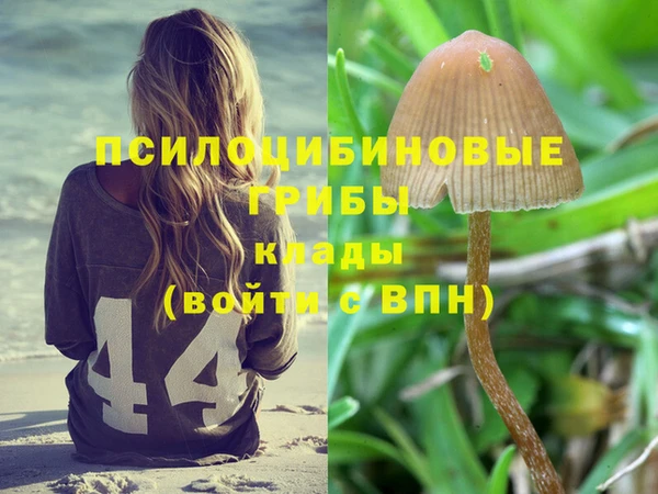 метамфетамин Бутурлиновка