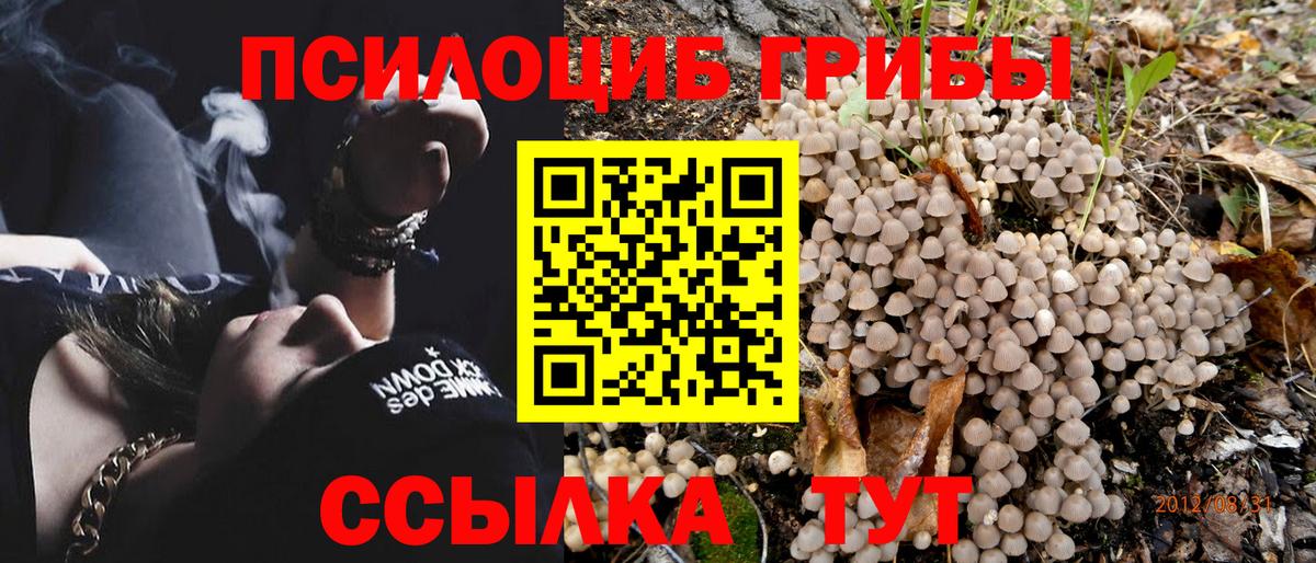 Галлюциногенные грибы Magic Shrooms  Вход с VPN  Североморск  Псилоцибиновые грибы ЛСД 